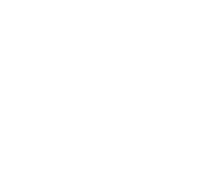 Zenmind 